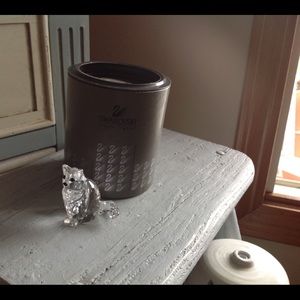 Swarovski Crystal Silver Cat